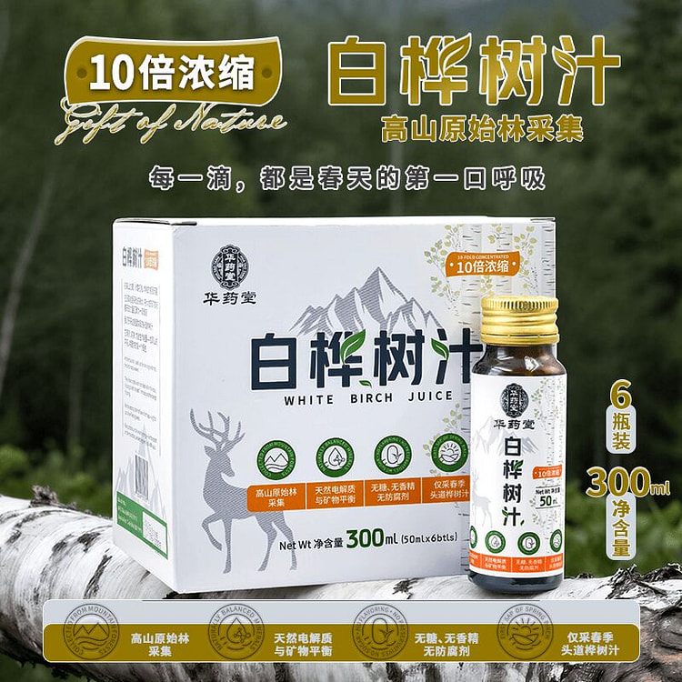 华药堂 白桦树汁 【10倍浓缩】50ml*6支 1 盒