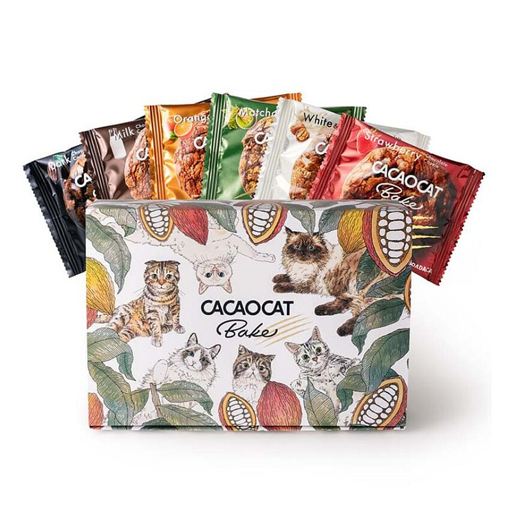 CACAOCAT Bake巧克力饼干6味 礼盒装