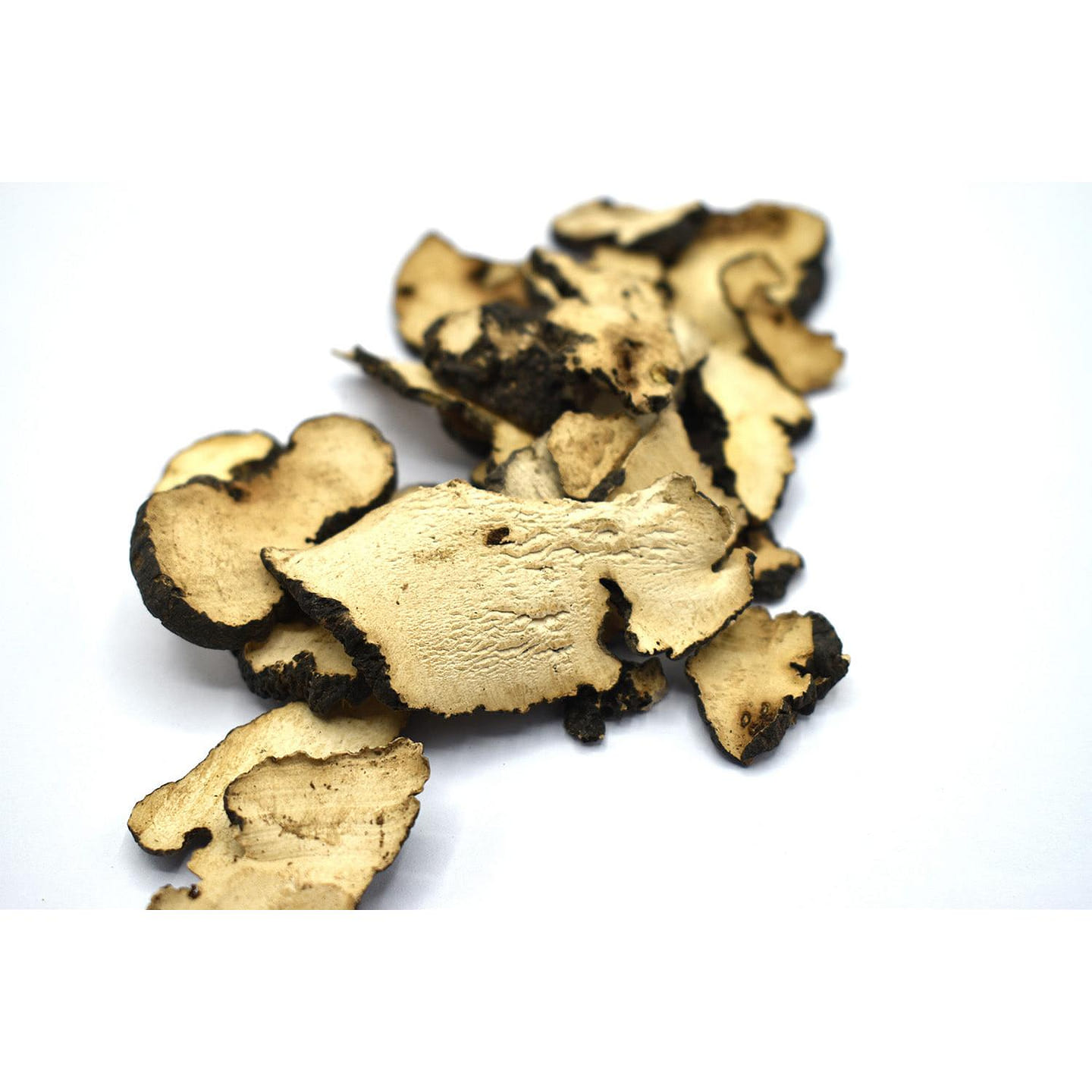 ZHU LING – Umbel Polypore Mushroom – Custom amount 1lb (454g) 1 each