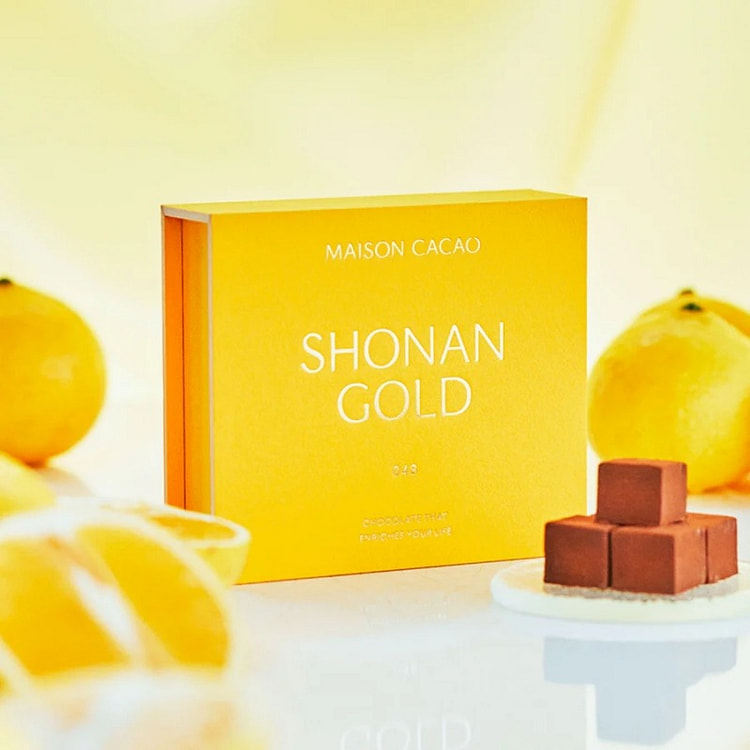 MAISON CACAO Raw Chocolate "Shonan Gold" 16 pieces