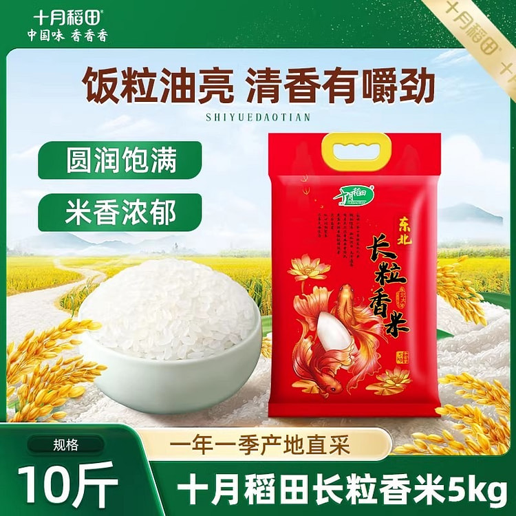 十月稻田 东北长粒香大米东北粳米劲道有嚼劲真空包装 2500 克