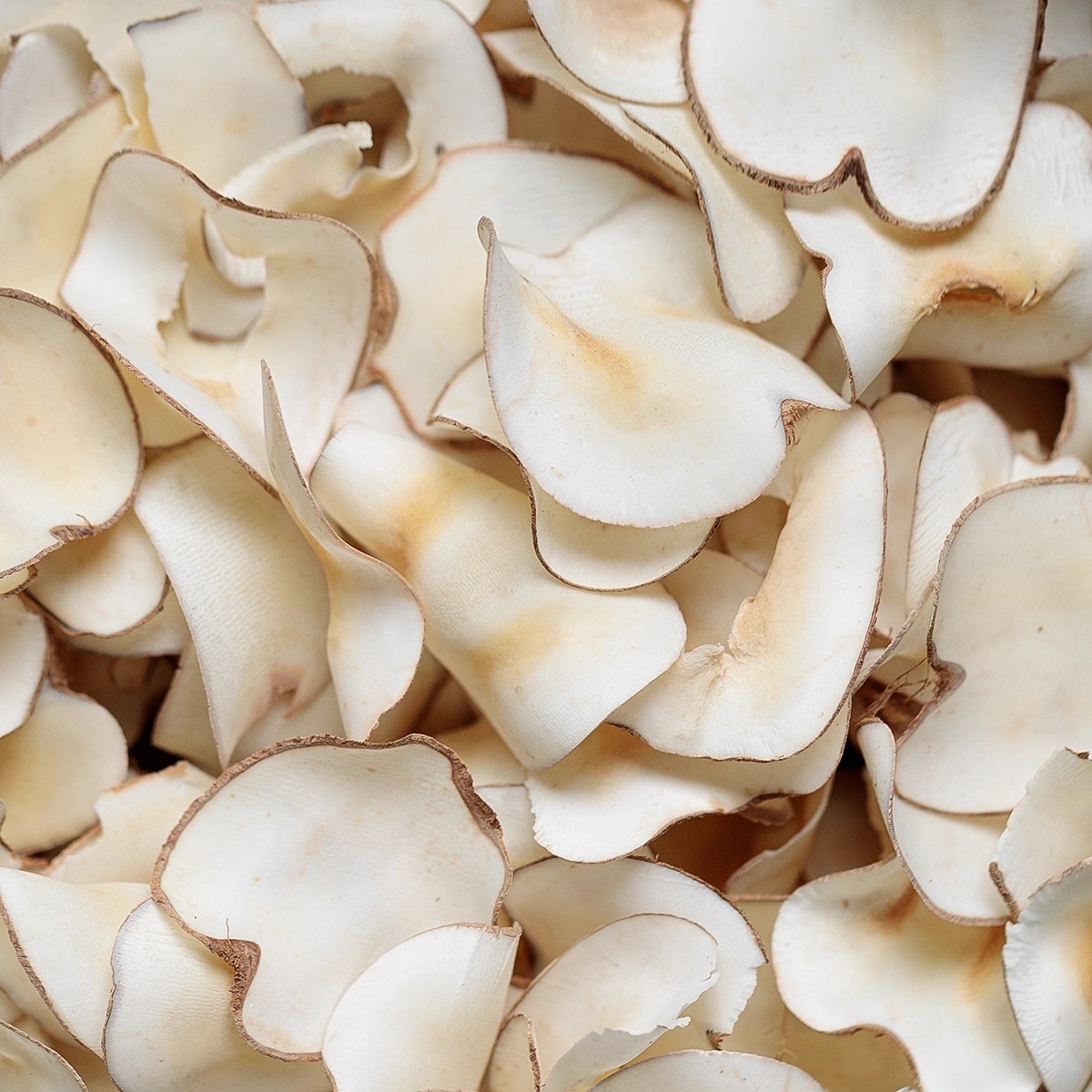 original color sea coconut slices 100g 100 g - Weee!