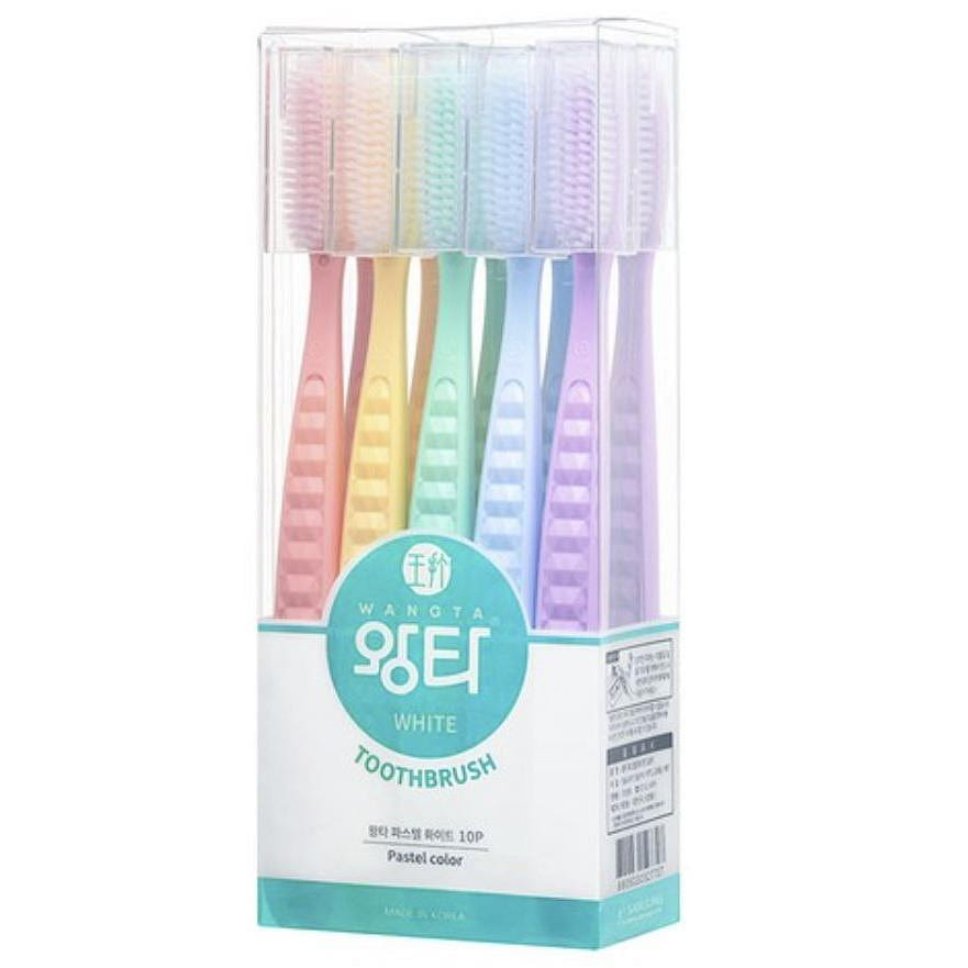 Wangta Toothbrush Pastel Color 10ea 1 case