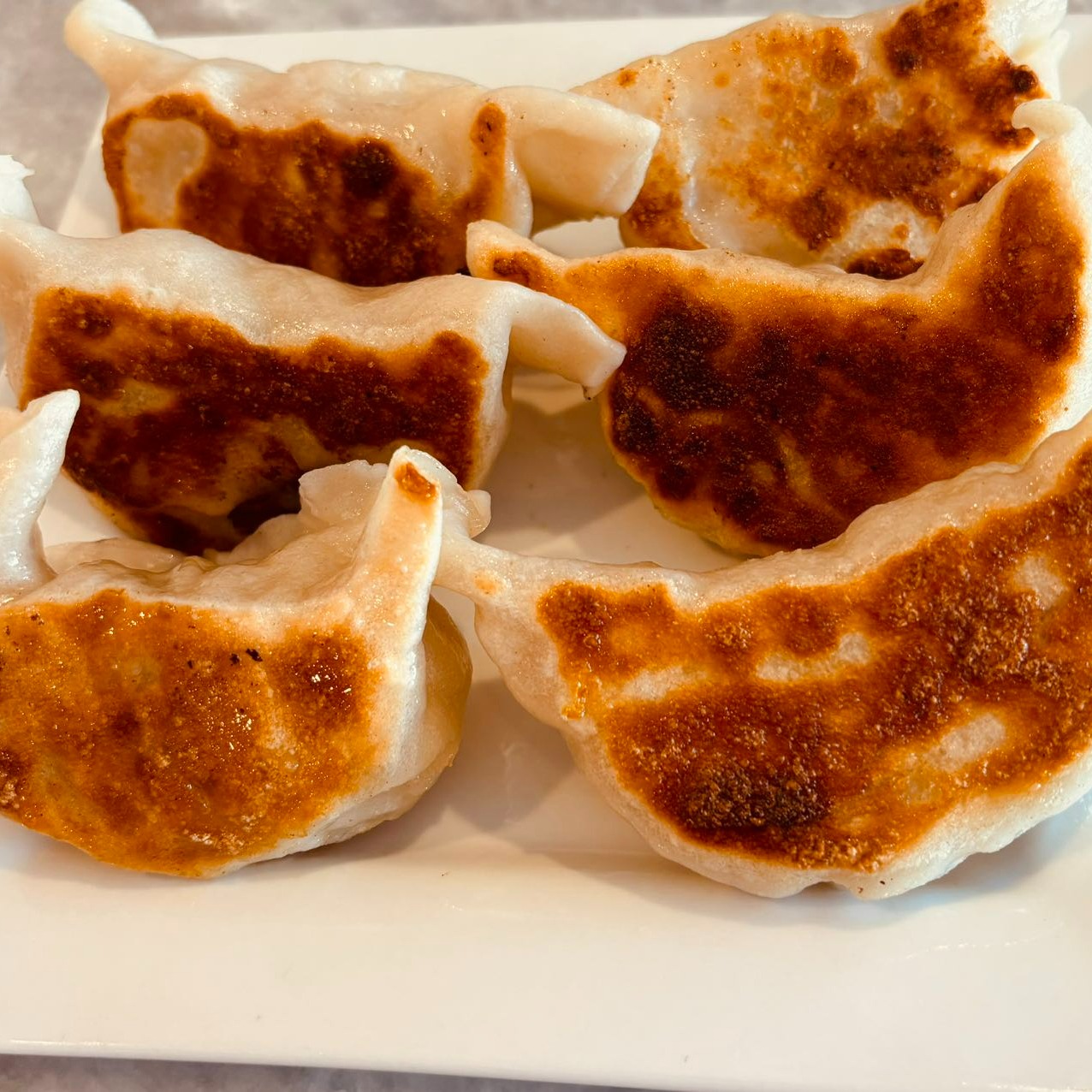 Pan Fried Pork Dumplings 6 カウント