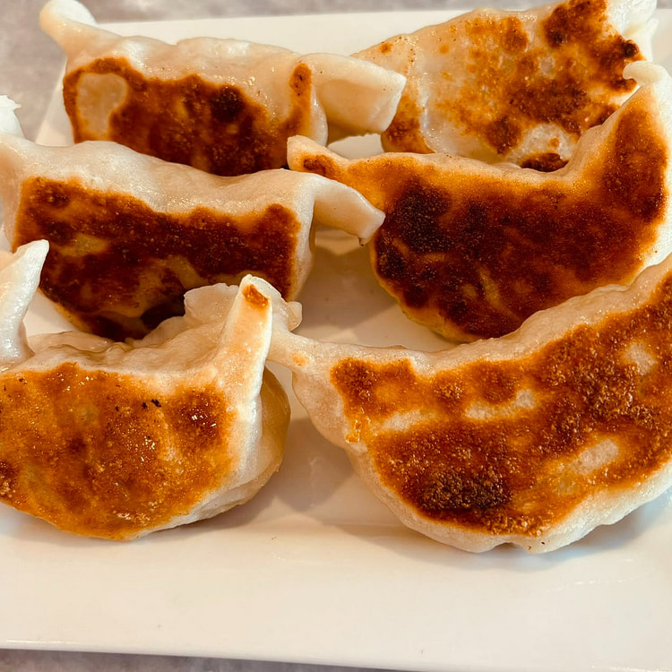 Pan Fried Pork Dumplings