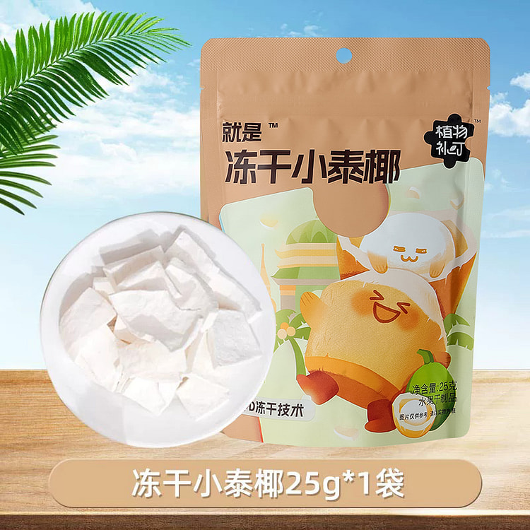 植物补叮 冻干小泰椰肉椰子脆片零食 25g*1袋