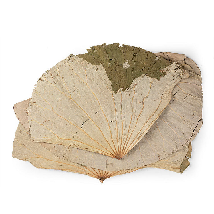 Lotus Leaf / He Ye (16oz) 1 each