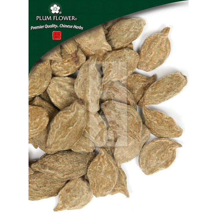 Bi Tao Gan, unsulfured Prunus persica fruit- immature