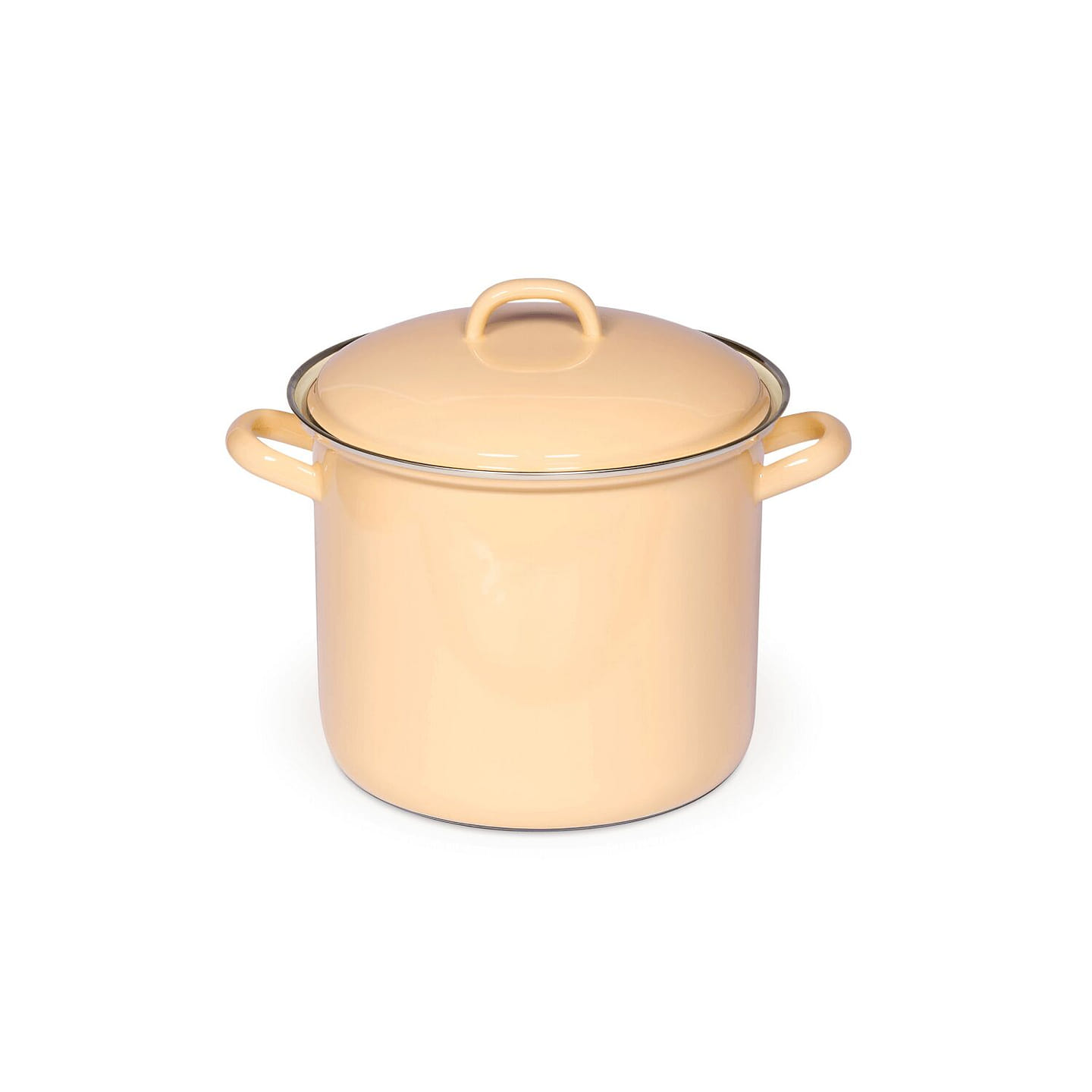 Riess Patel Classic Stew Pot with Lid – 20 cm 1 each