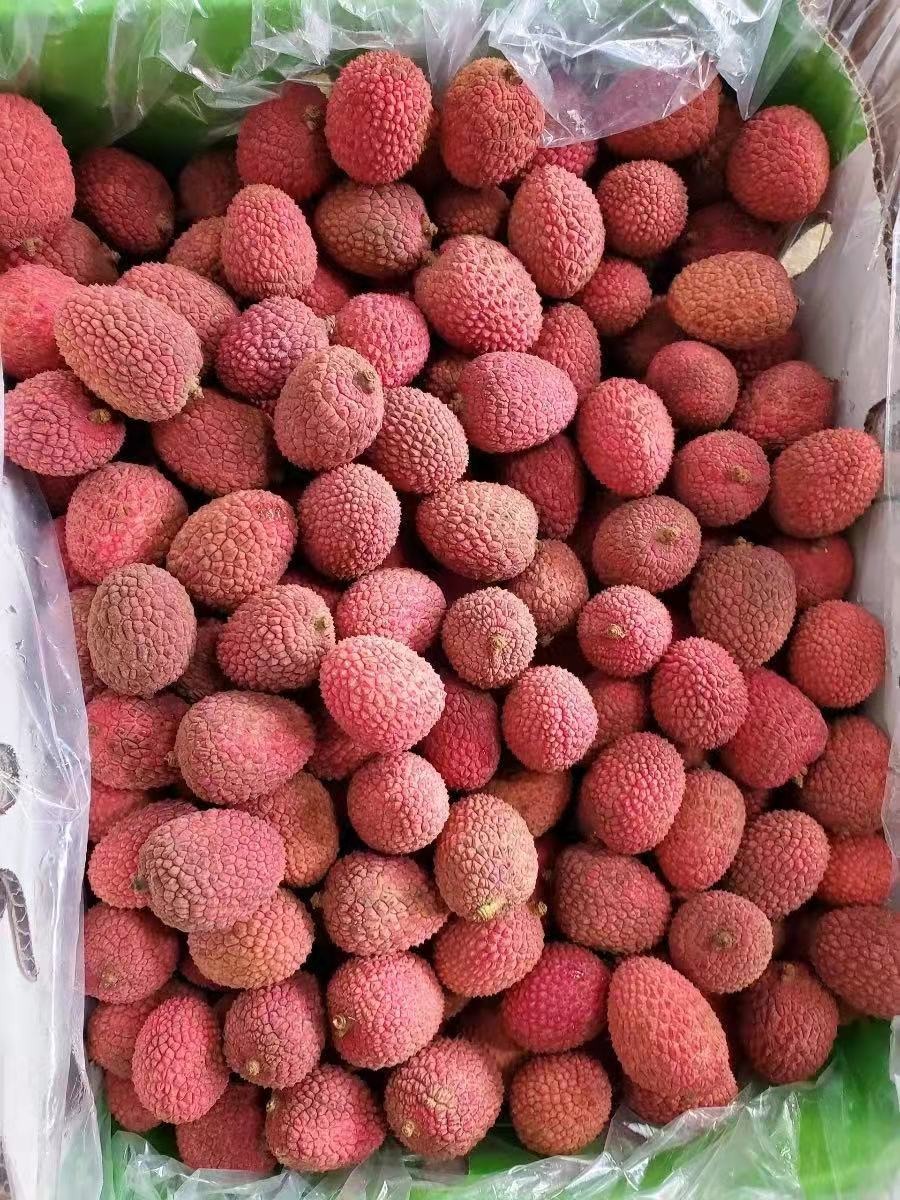 Sweet Lychee 1.45-1.55 lb