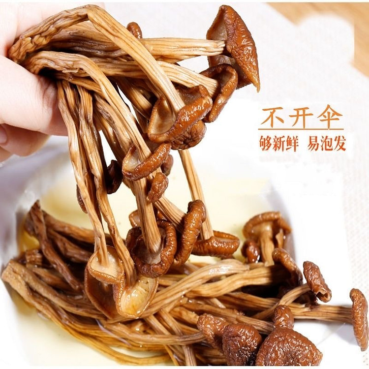 Dried tea tree mushroom