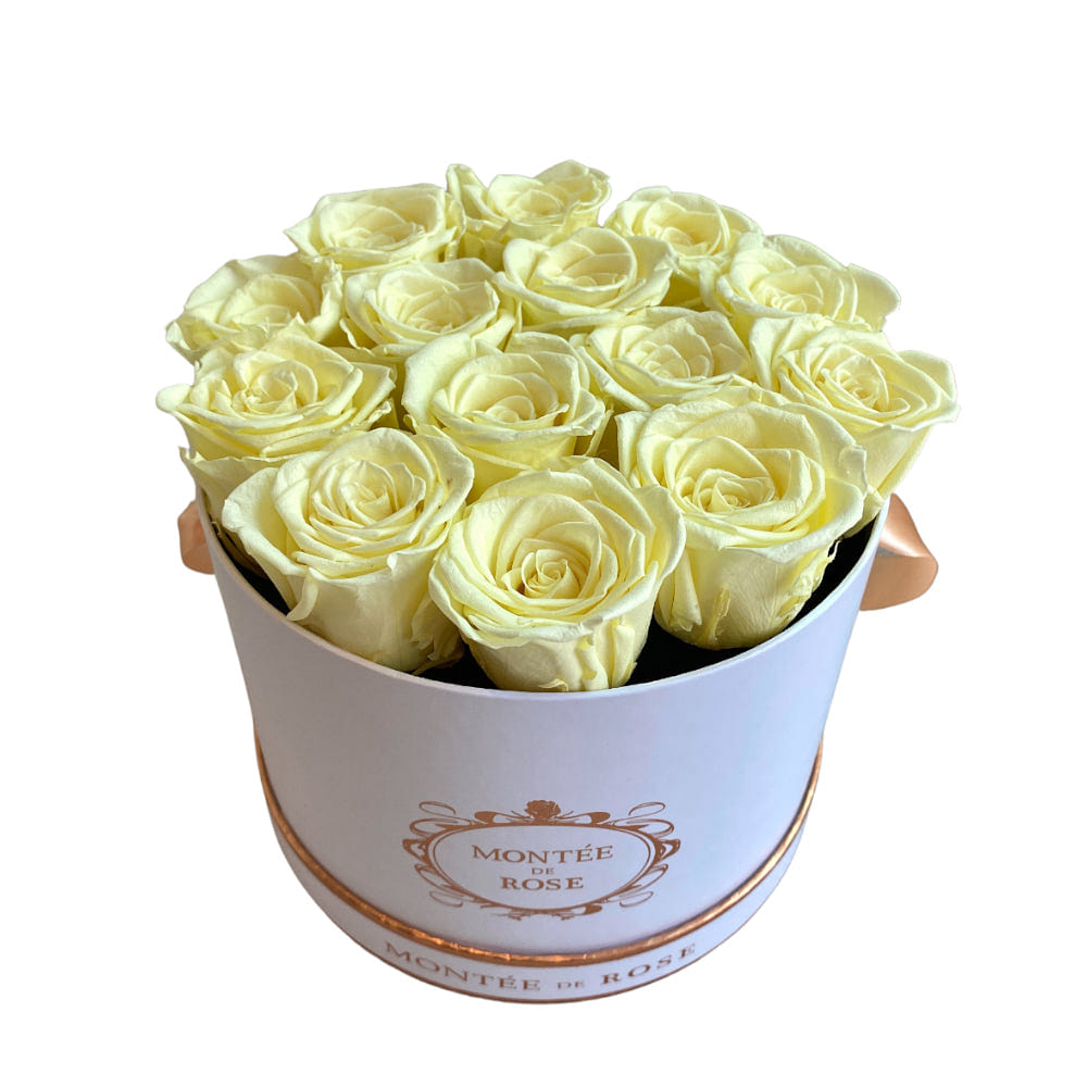 White Medium Round Lemon Yellow 1 each