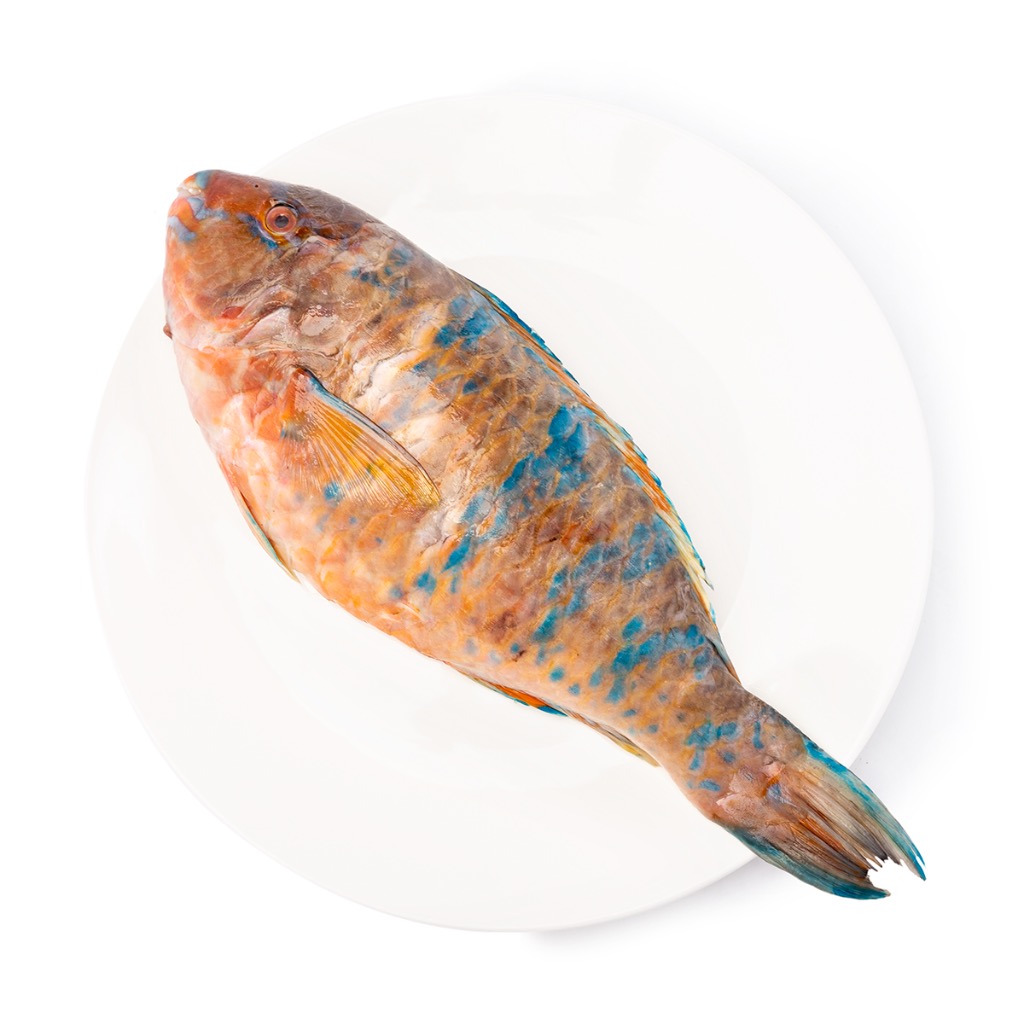 Get Whole Parrot Fish, Frozen Delivered Weee! Asian Market