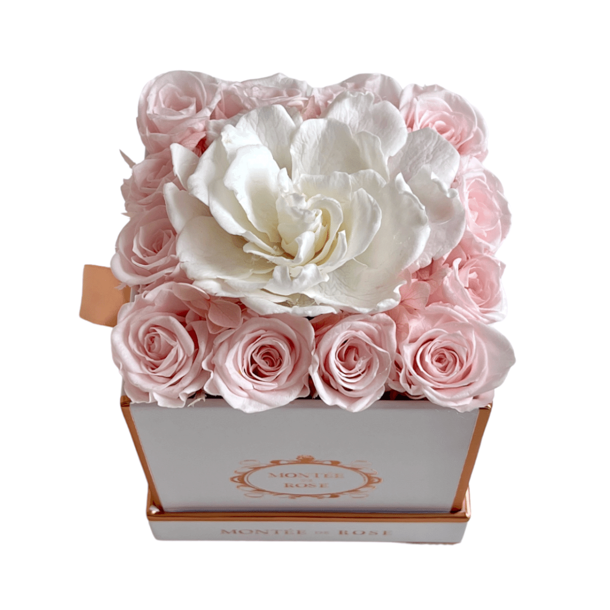 Gardenia Small Square 1 each