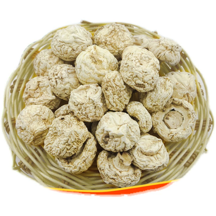 野生口蘑干货内蒙草原张家口坝上特产舌尖上中国推荐白蘑菇双孢菇250g*1袋