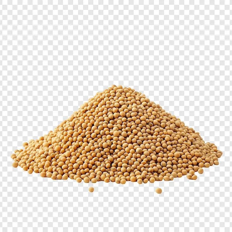 HB Sabudana (Tapoica) 850 g