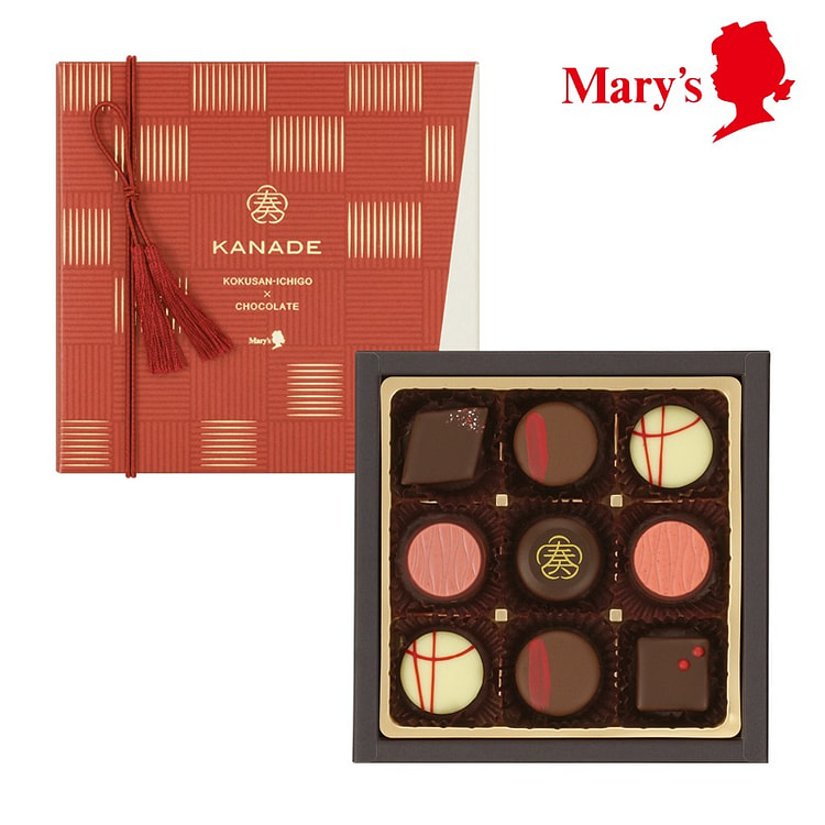 Mary's 情人节限定 草莓系列巧克力 9枚入