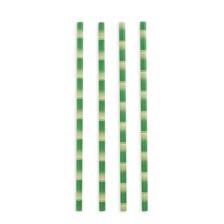 Sprig™: Bamboo Paper Straws (Set of 25)