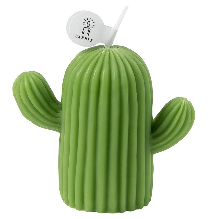 Home Cactus Scented Candle - Olive Green 1 each