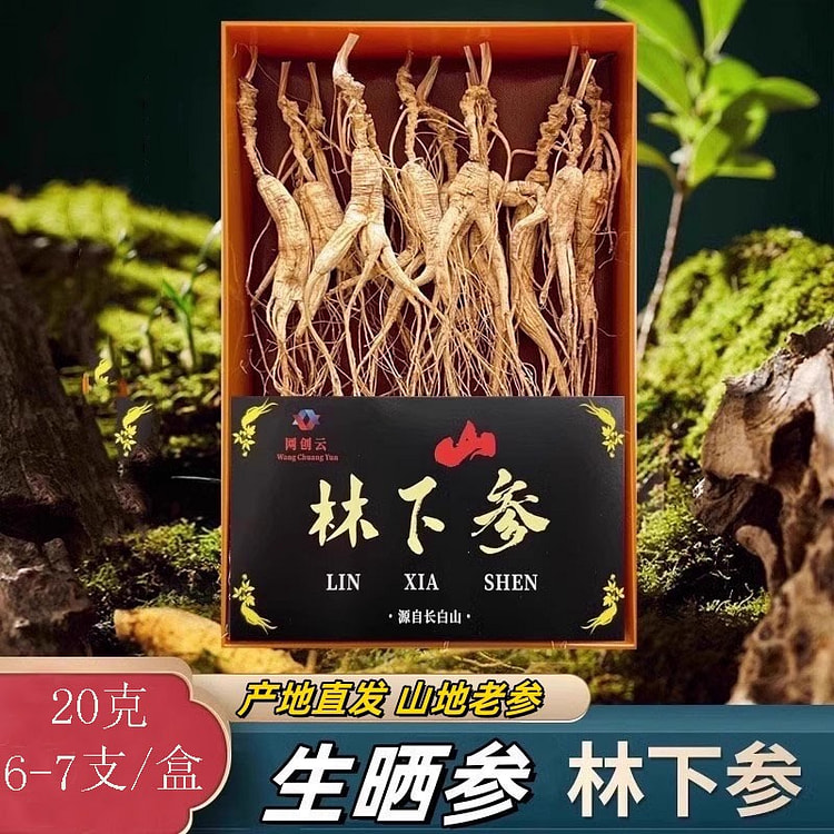 2024年 秋林下参山参 长白山人参 干参 正品人参 整枝林下山参泡酒煲汤20g（6-7枝/盒）