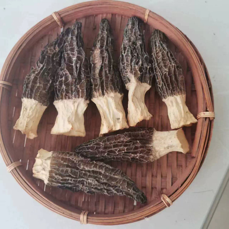 头茬羊肚菌干货3-4厘米