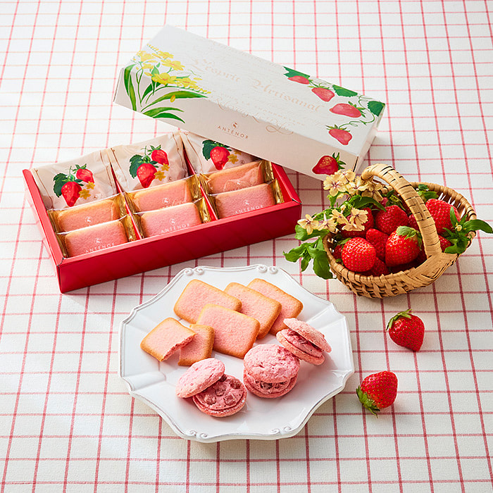 Antenor Strawberry Cookie Gift Box 9 pcs 1 each