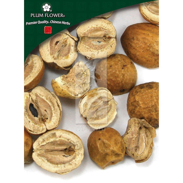 Chuan Lian Zi, unsulfured Melia toosendan fruit