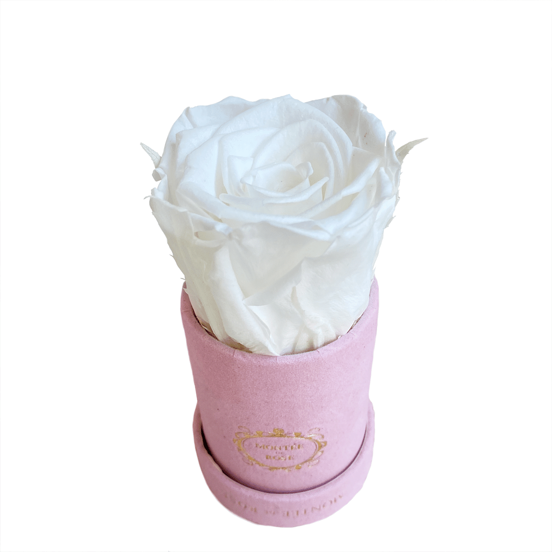 Suede Pink Mini Round Pure White 1 each