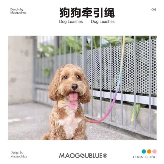 【MAOGOUBLUE】Dog Rainbow Leash + Collar 1 each