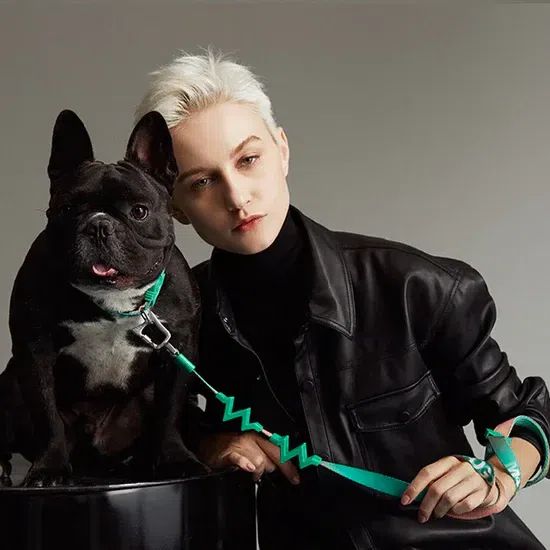 【MAOGOUBLUE】Self-unwinding Dog Leash Set – Mint 1 each