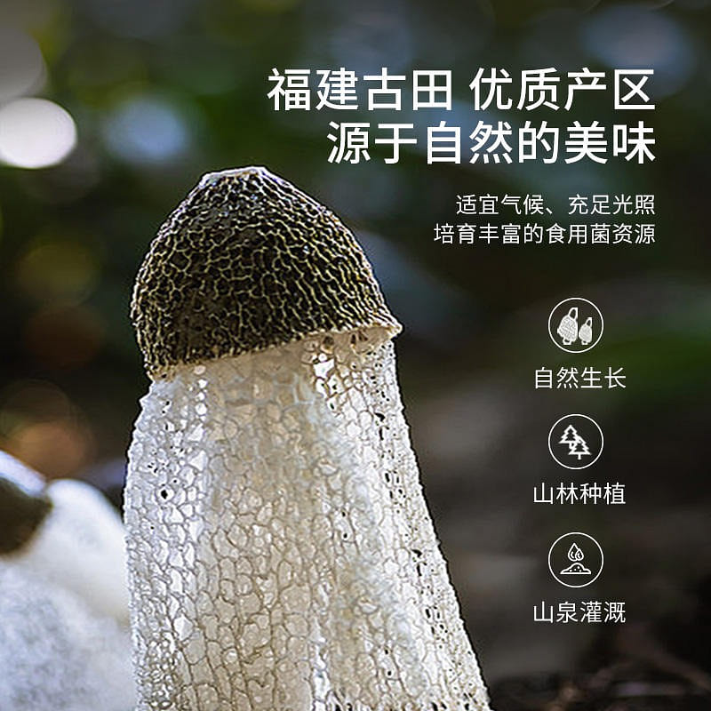 Mushroom law natural bamboo fungus 30 g