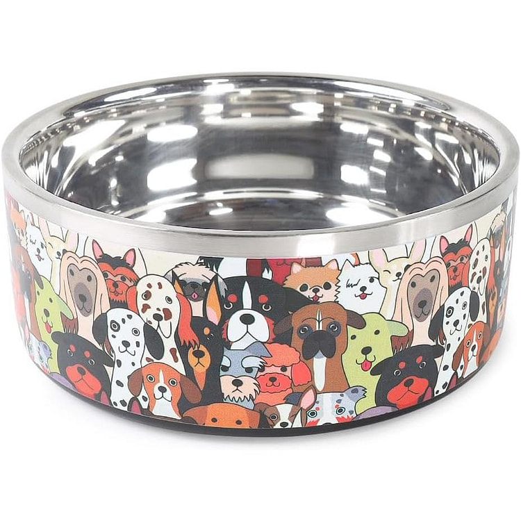 Pawdience 双层钢碗 50 盎司 1 个