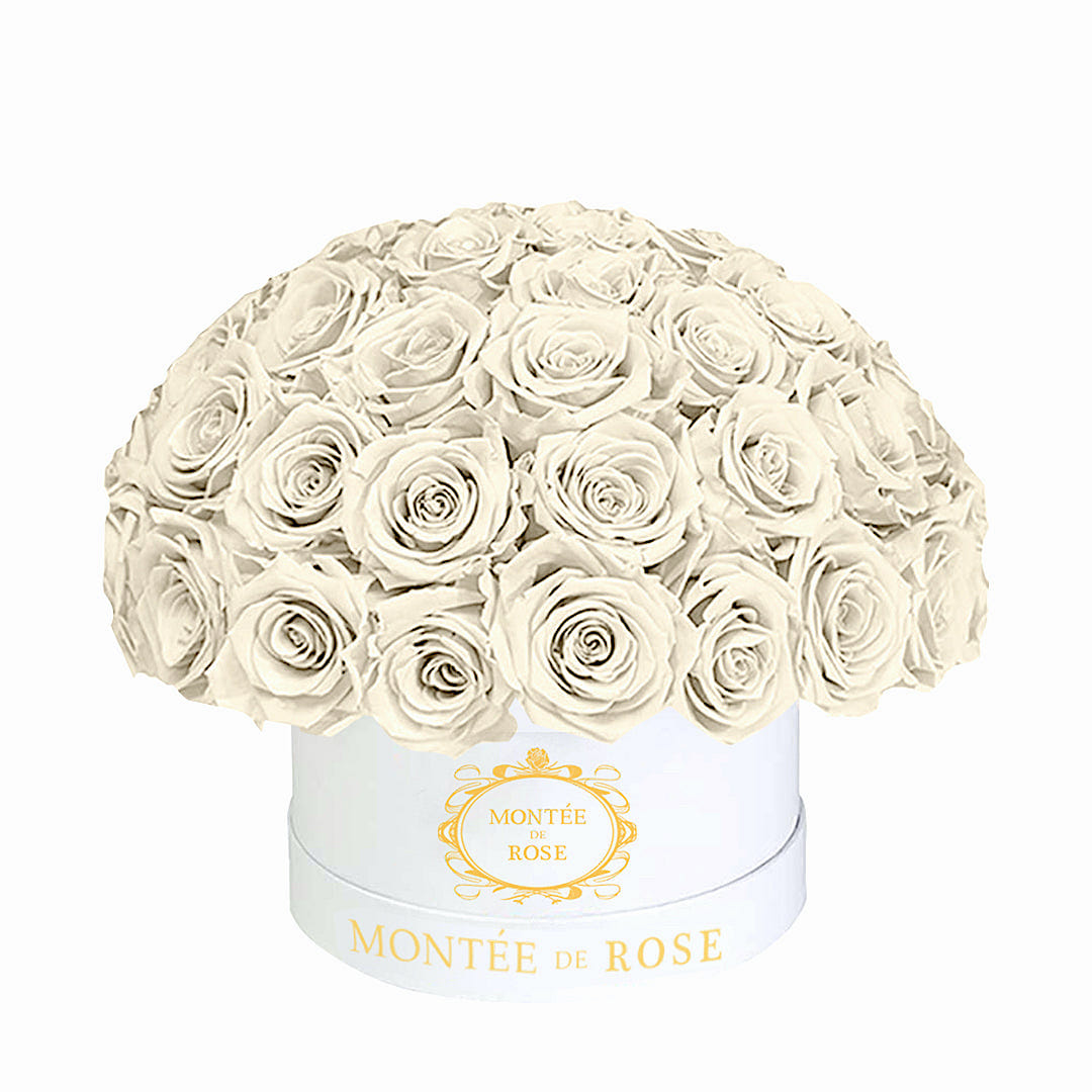 White Medium Dome Cream 1 each