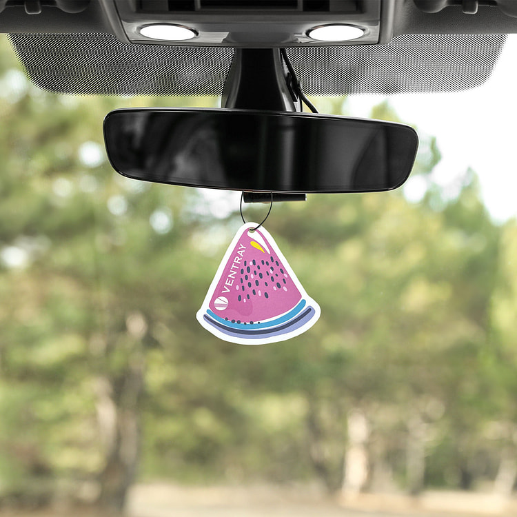 Ventray Car Ornament Hanging, Customized fragrance Car Freshies - Watermelo