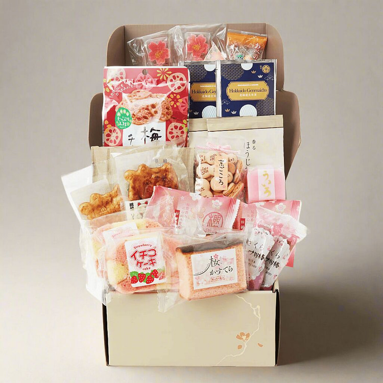 Sakuraco Shareable Snack Rescue Box