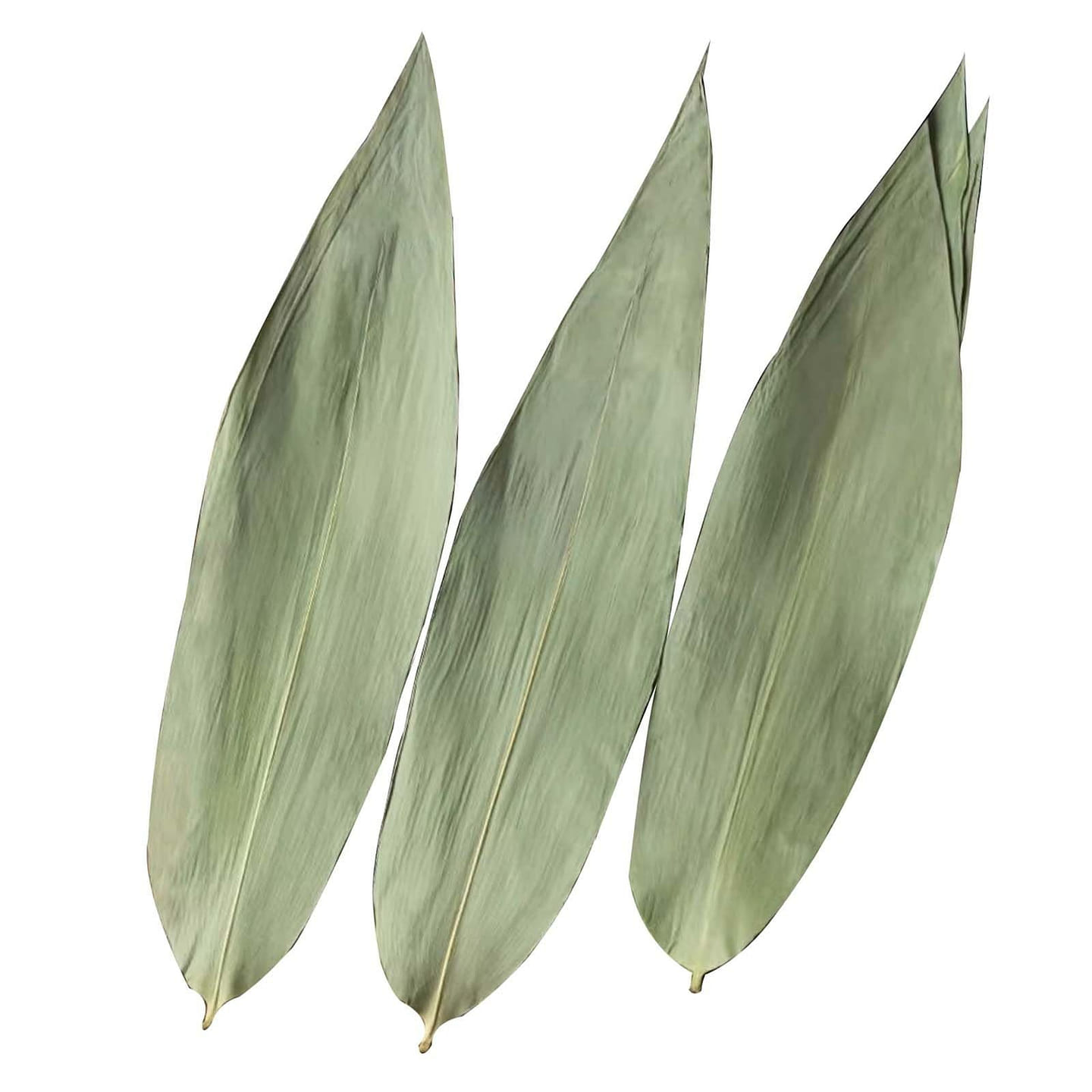 Dry Bamboo Leaves 100 Pcs Dried Zongzi Leaf Wrap 1 each