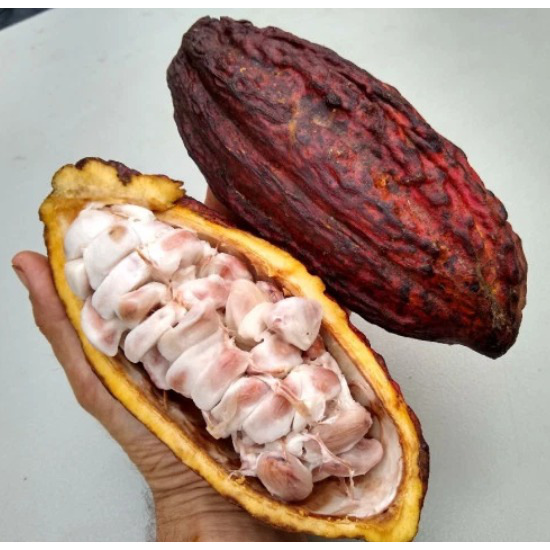 Get Cacao Fruit Delivered Weee! Asian Market