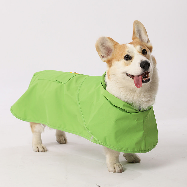 华元宠具柴犬雨衣青蛙斗篷M码23-30斤*1件