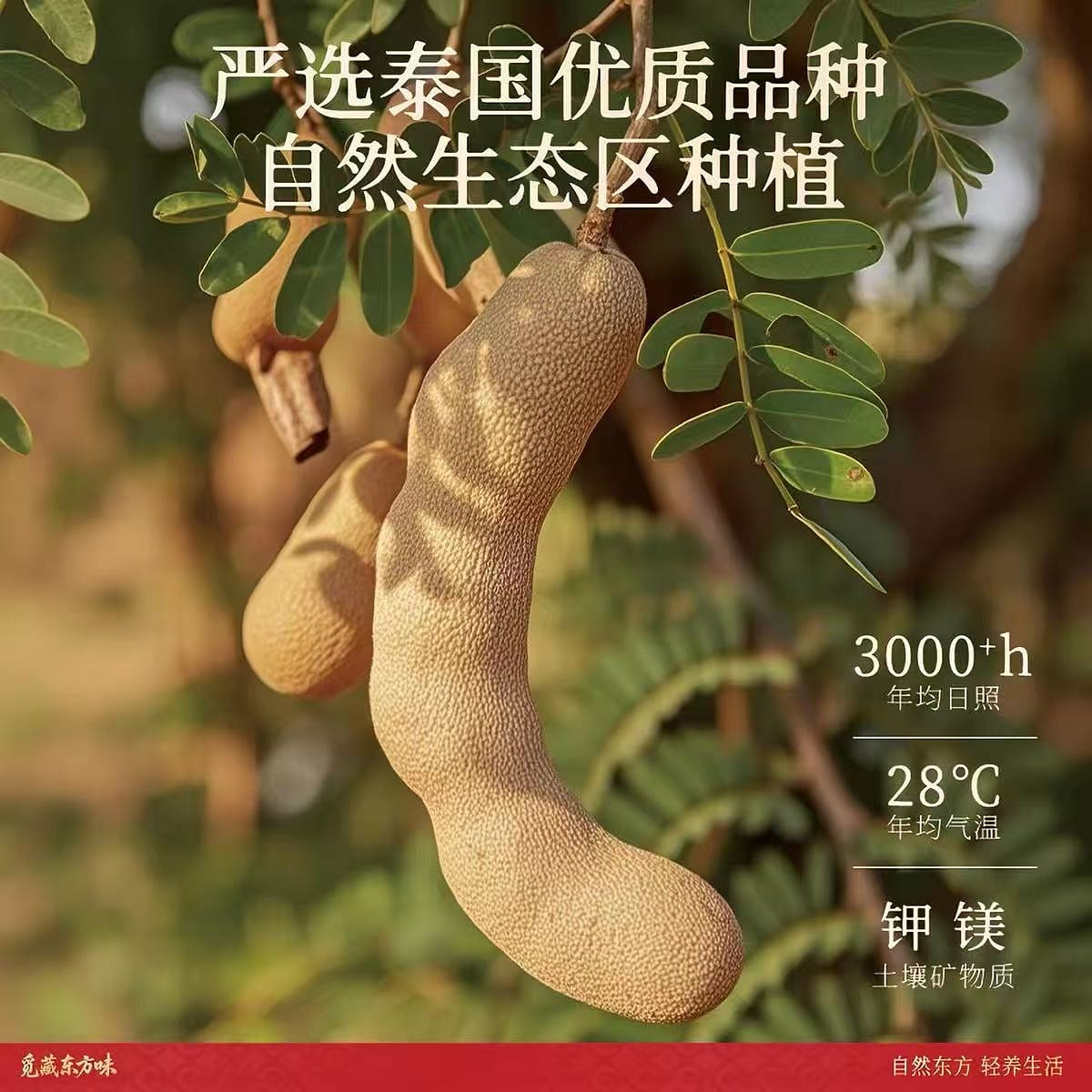 Spring River Moon Shellless Tamarind Dried Fruit 80 g