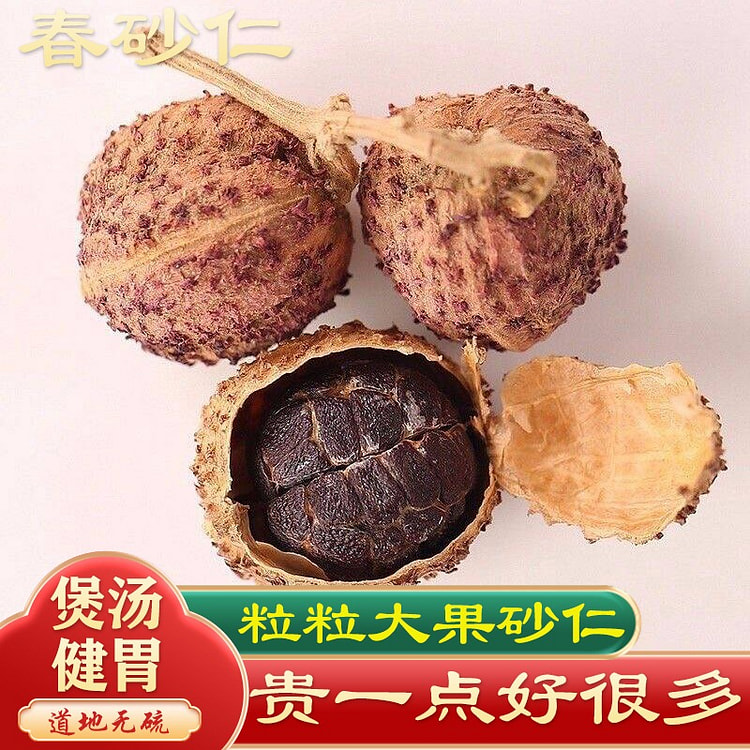 Authentic Yangchun Spring Sand Nut 1 each