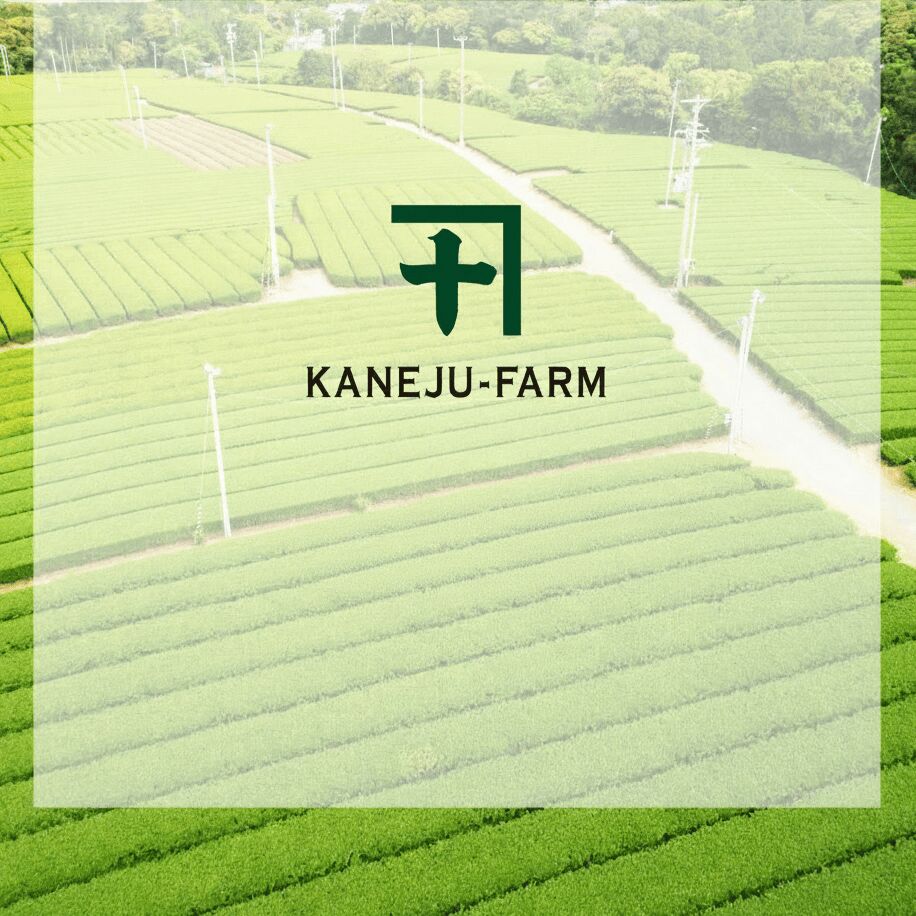 日本から直送 カネ十抹茶 2g×10p 1 個 - Weee!