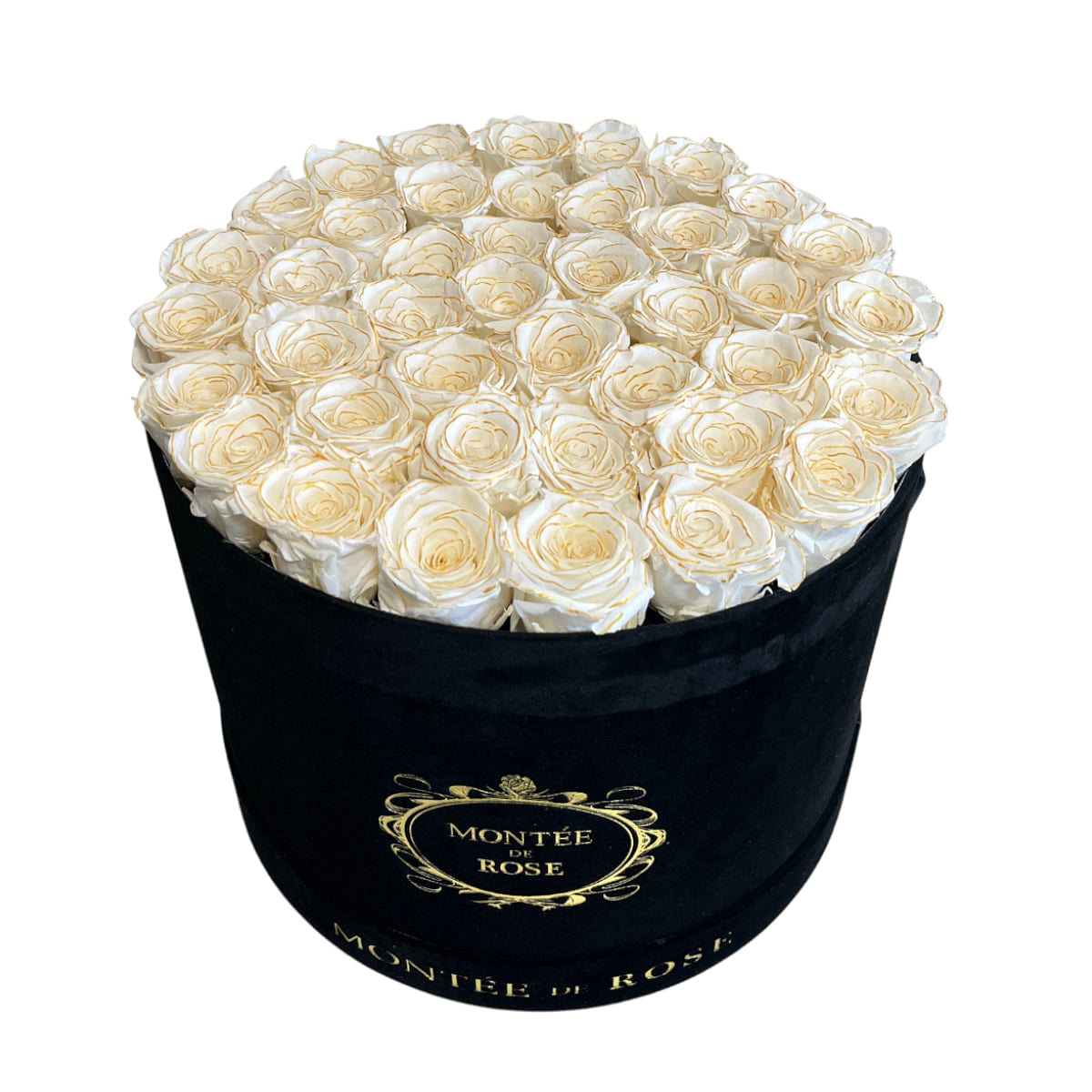 Gold Pearl in Black Suede Round LARGE 1 each