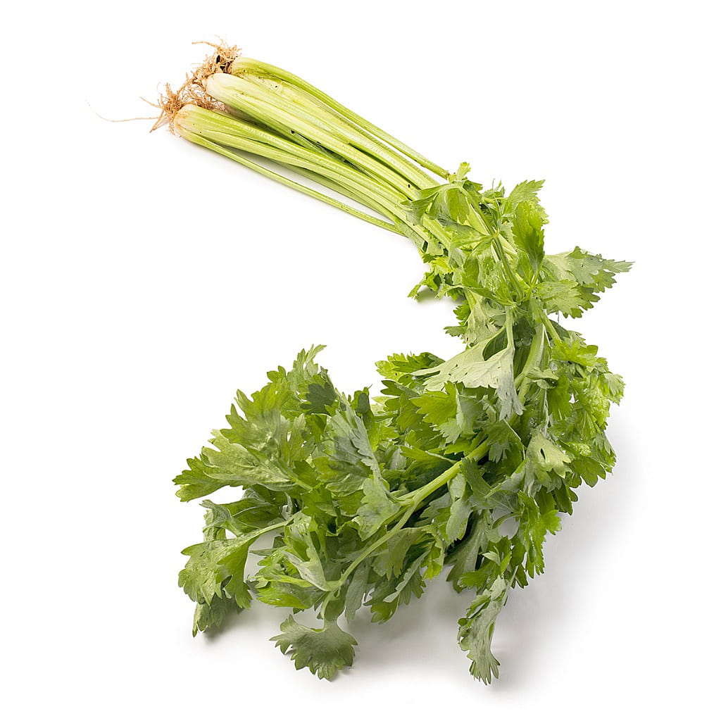 新鲜芹菜 1 磅