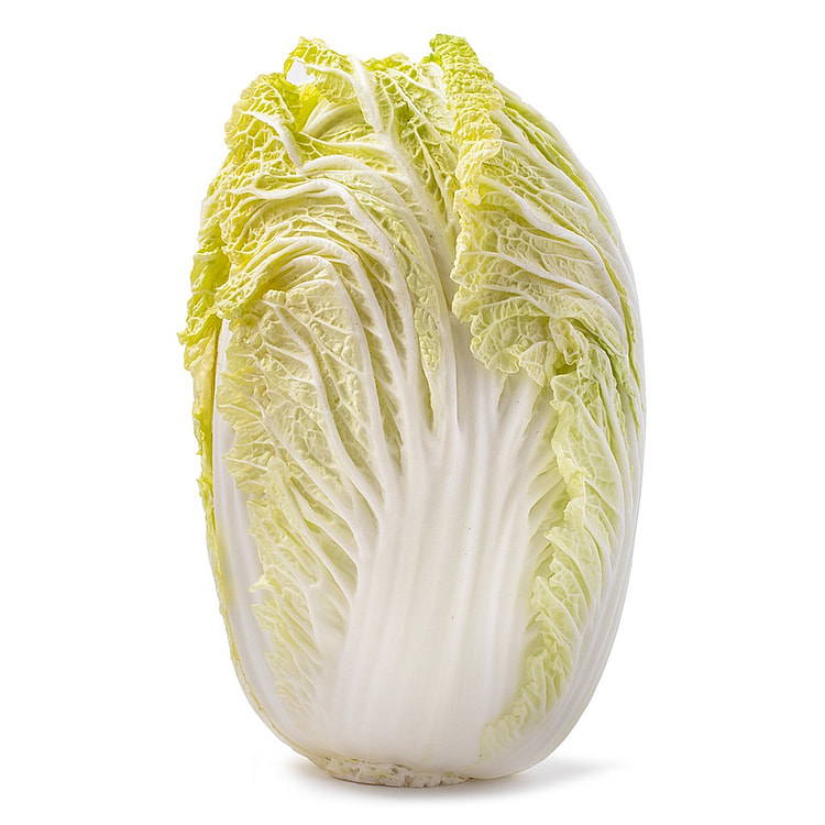Napa Cabbage Weee