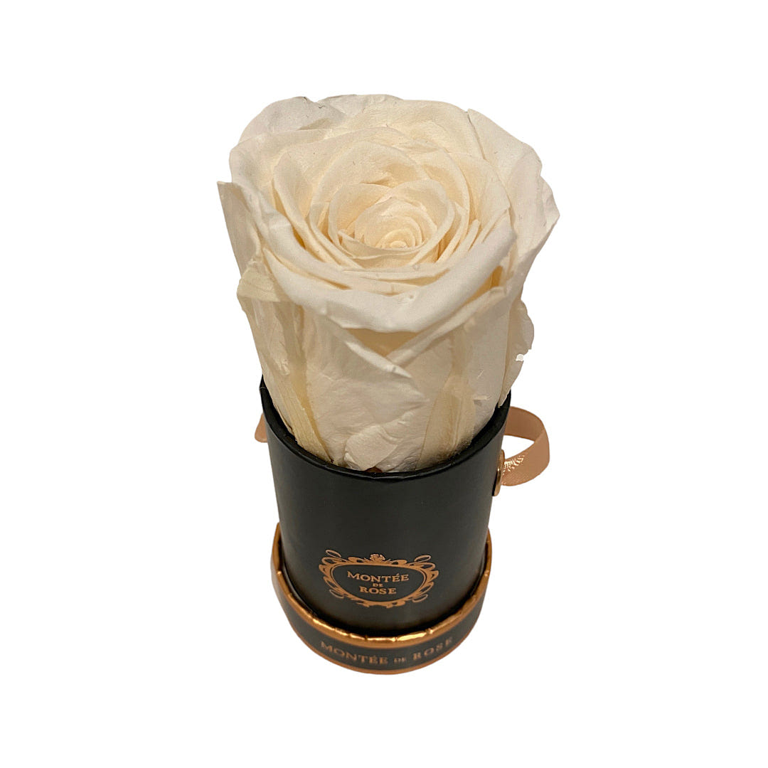 Black Mini Round Cream 1 each