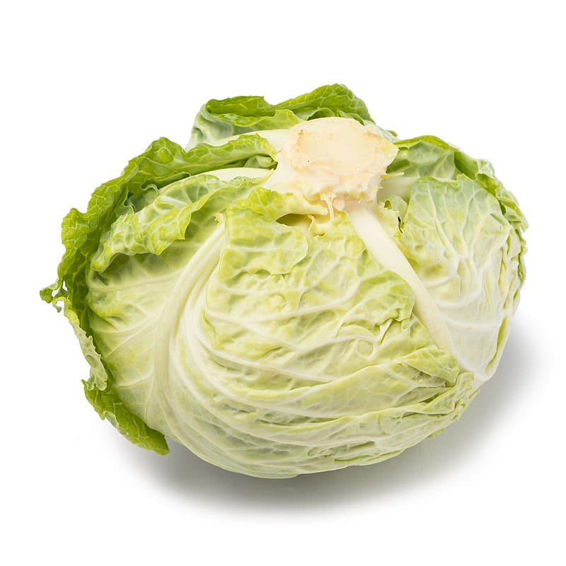 Savoy Cabbage 1 count