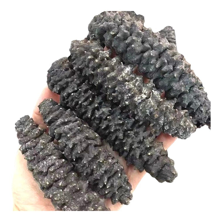 HMT South America Wild Deep Sea Cucumbers 400g Luo Wen 1 each