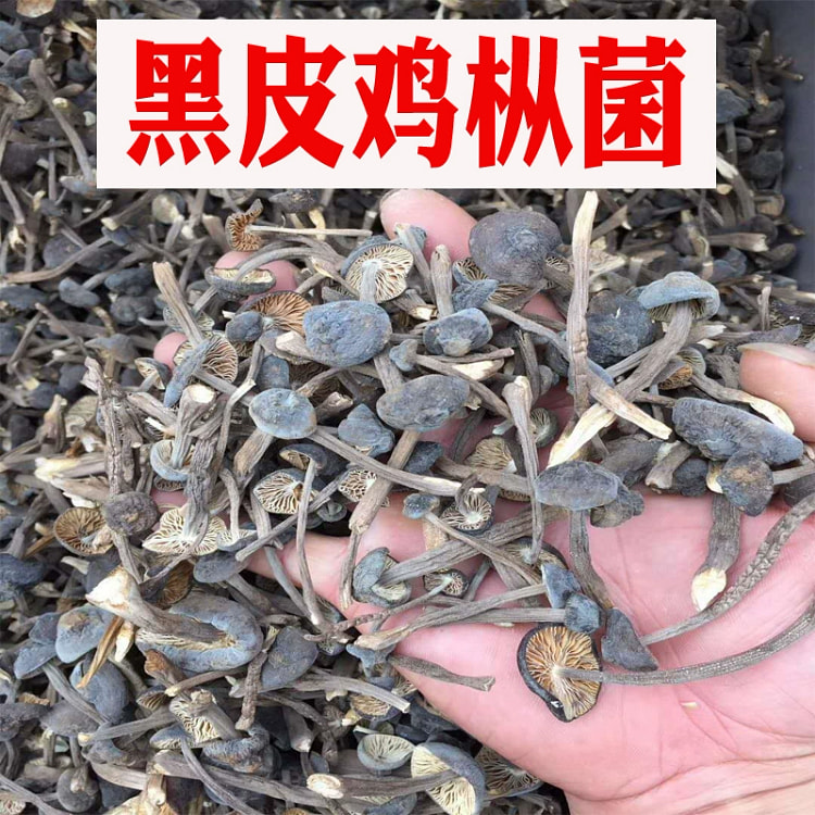 黑皮鸡枞菌干货菌菇煲汤料香蘑菇100g*1袋