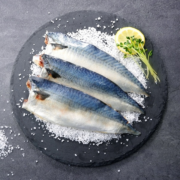[Jeju Fisherman] Jeju Salted Mackerel (5 packs)