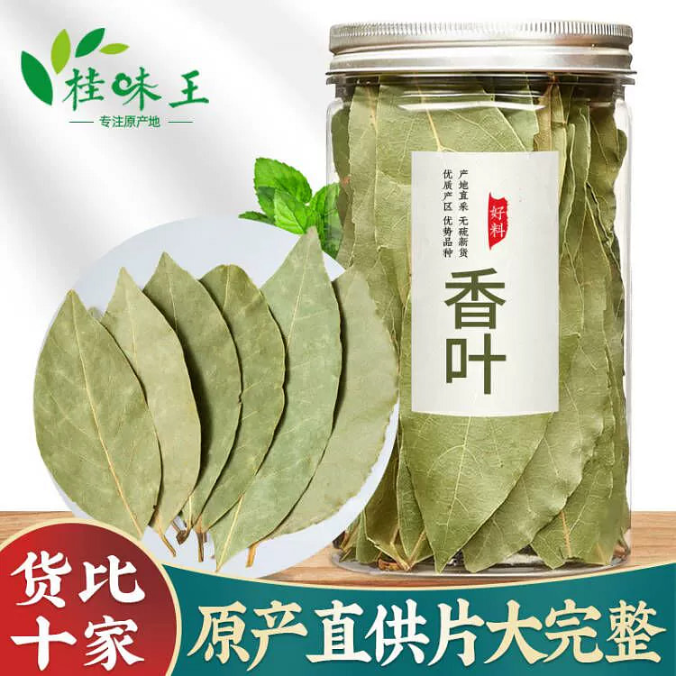 广西香叶天然月桂叶家用干货广1罐